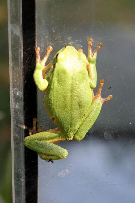 Killikus&reg; Fotographie